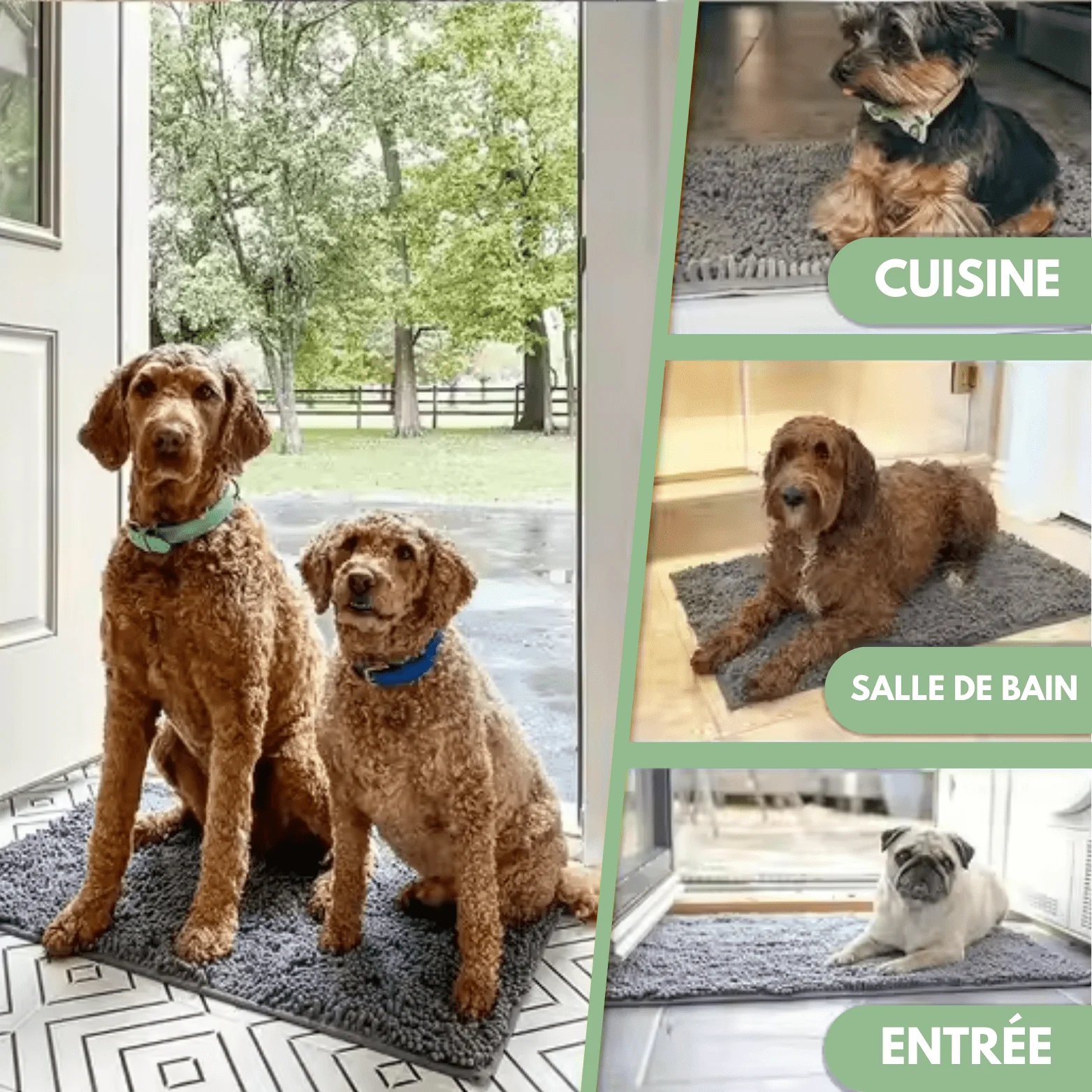 OVANOR - Tapis ultra-absorbant - Fini les Traces de Pattes Sales ! - Image 12